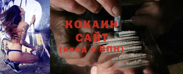 прущие грибы Краснотурьинск