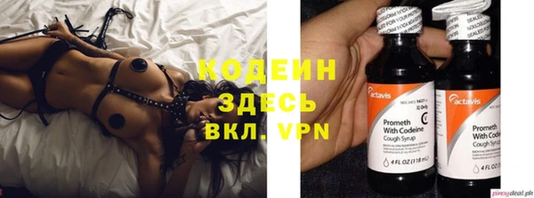 ПСИЛОЦИБИНОВЫЕ ГРИБЫ Корсаков