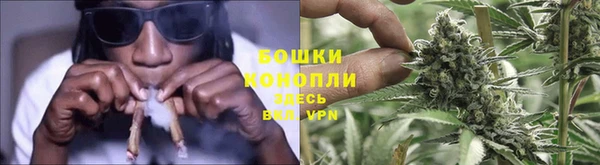 ПСИЛОЦИБИНОВЫЕ ГРИБЫ Корсаков