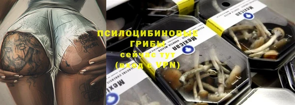 ПСИЛОЦИБИНОВЫЕ ГРИБЫ Корсаков