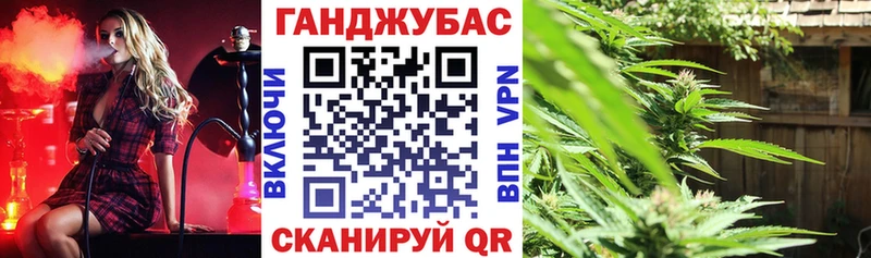 купить цена Называевск Шишки марихуана план